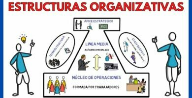 Organigrama de empresa: estructura funcional y de personal